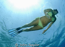 snorkeler. by John Naylor 